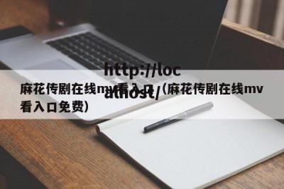 麻花传剧在线mv看入口（麻花传剧在线mv看入口免费）
